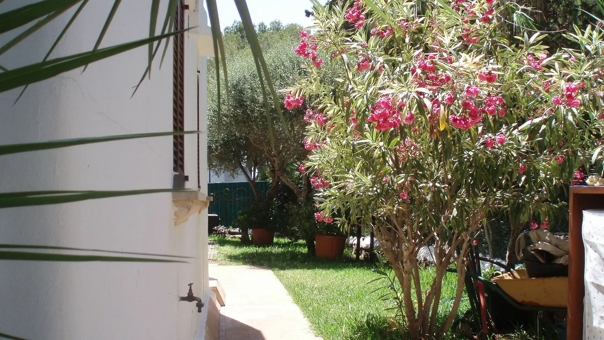 公寓 Apartamentos Osa Menor Cala D´Or 西班牙