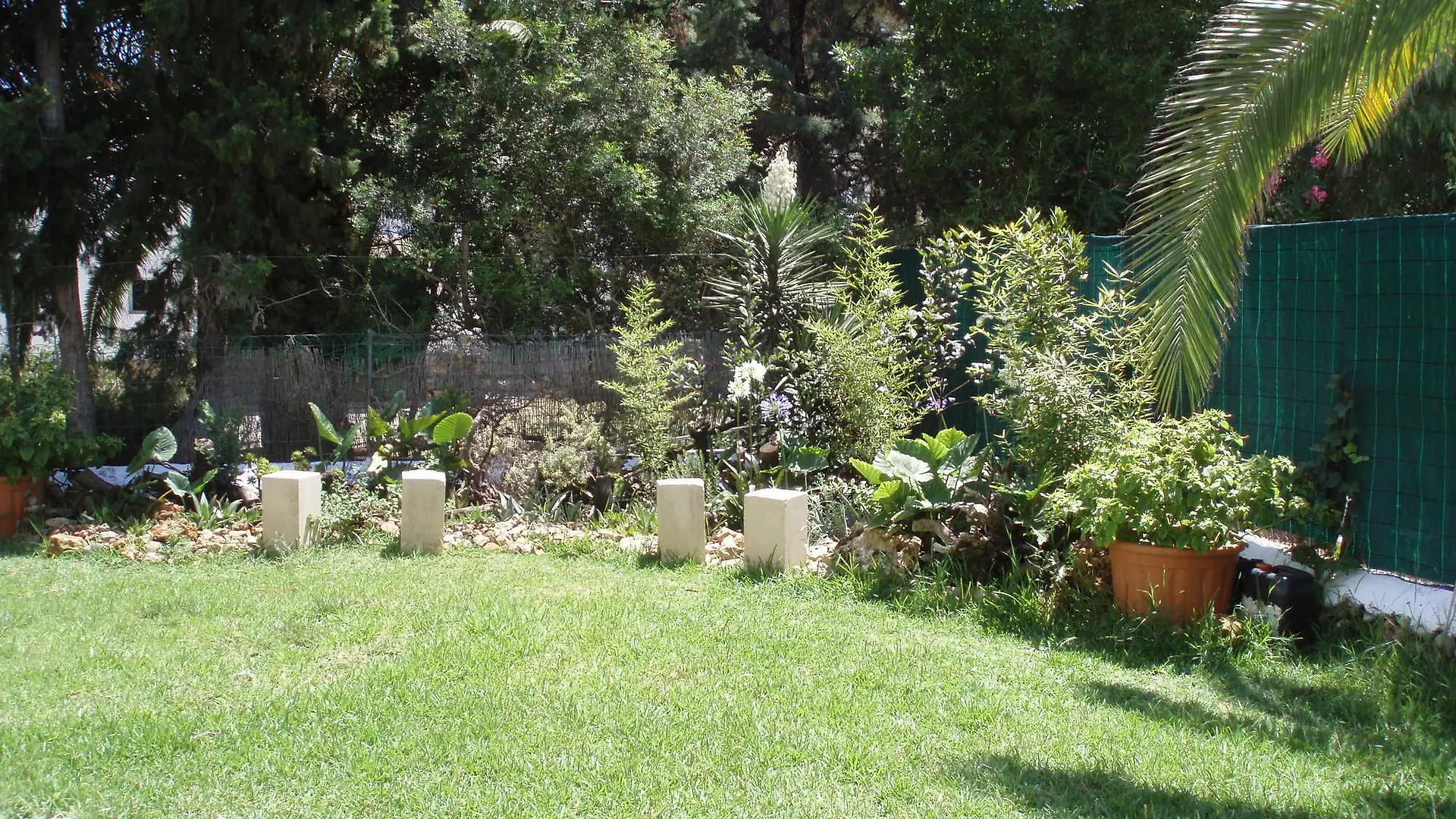 公寓 Apartamentos Osa Menor Cala D´Or